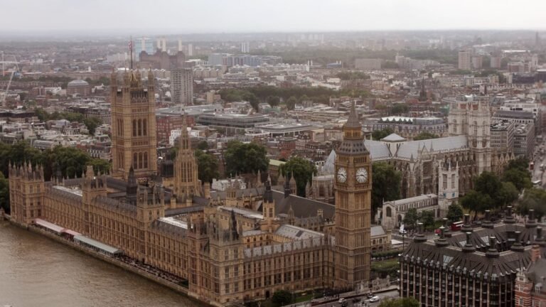 The Houses of Parliament from above